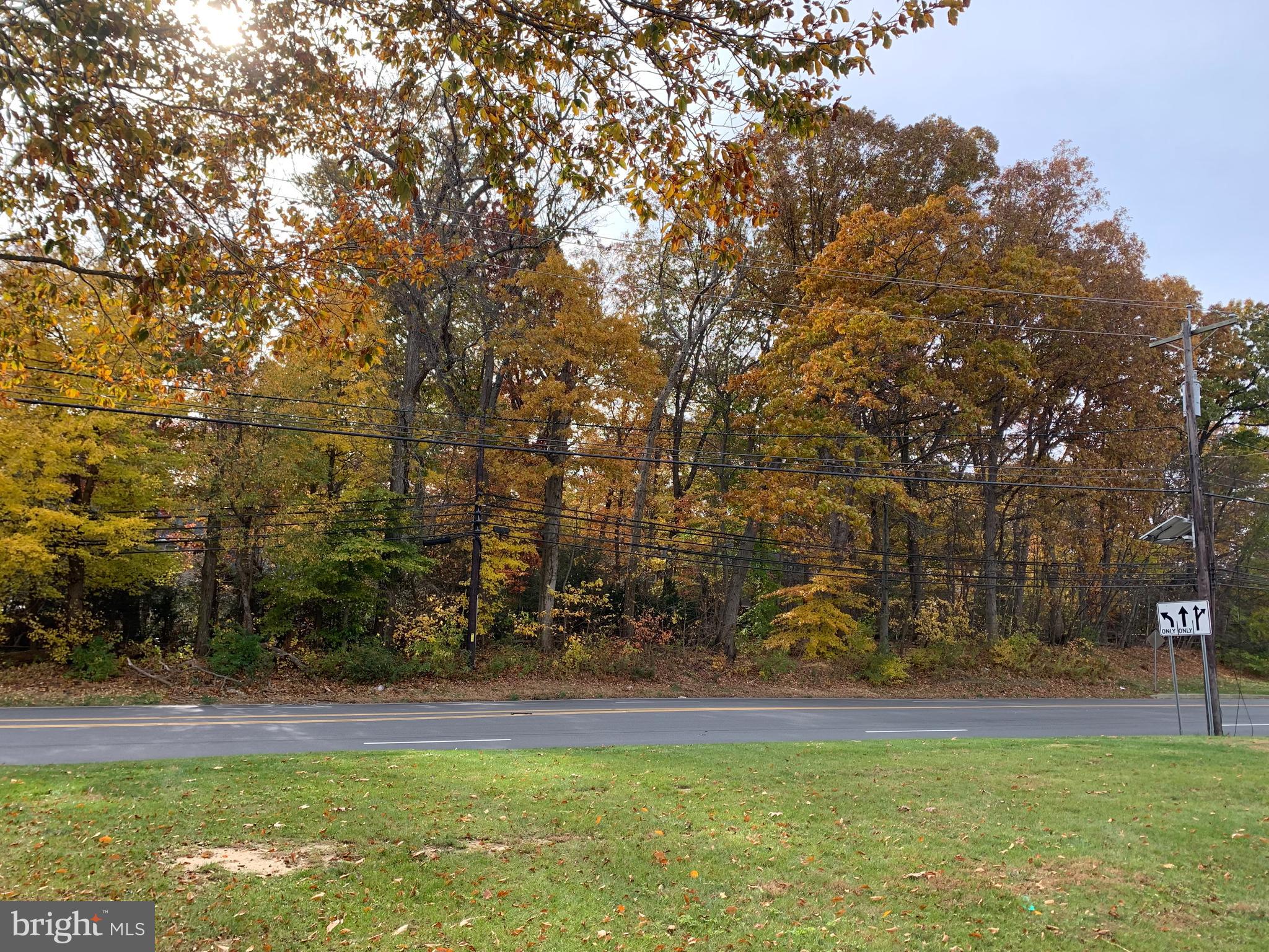 271 Princeton Hightstown Road Princeton Junction, NJ 08550 - Photo 44 of 44