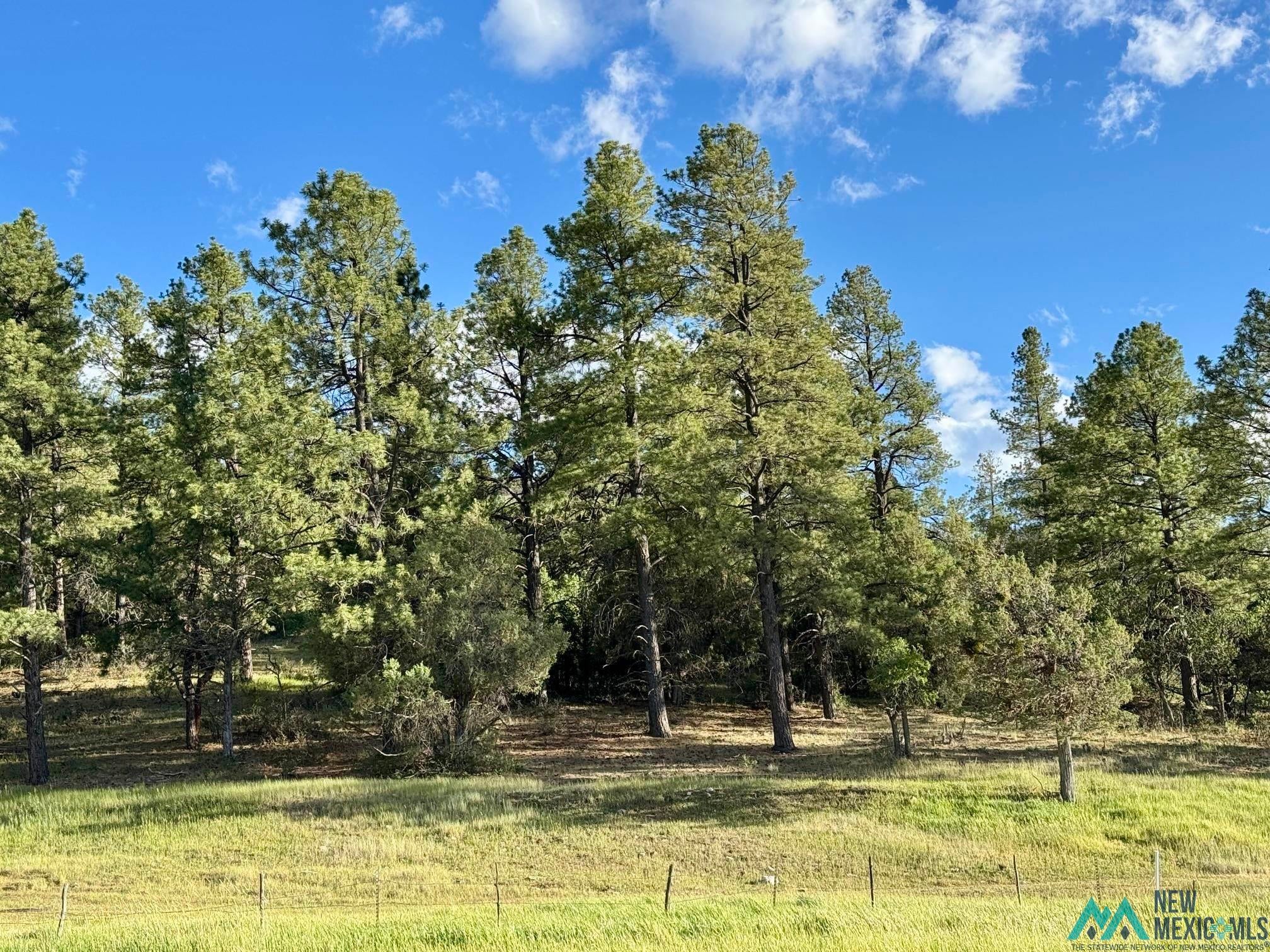 1788 Rd Chama Nm 87520 Road Chama, NM 87520 - Photo 7 of 13 Gallery Image 7