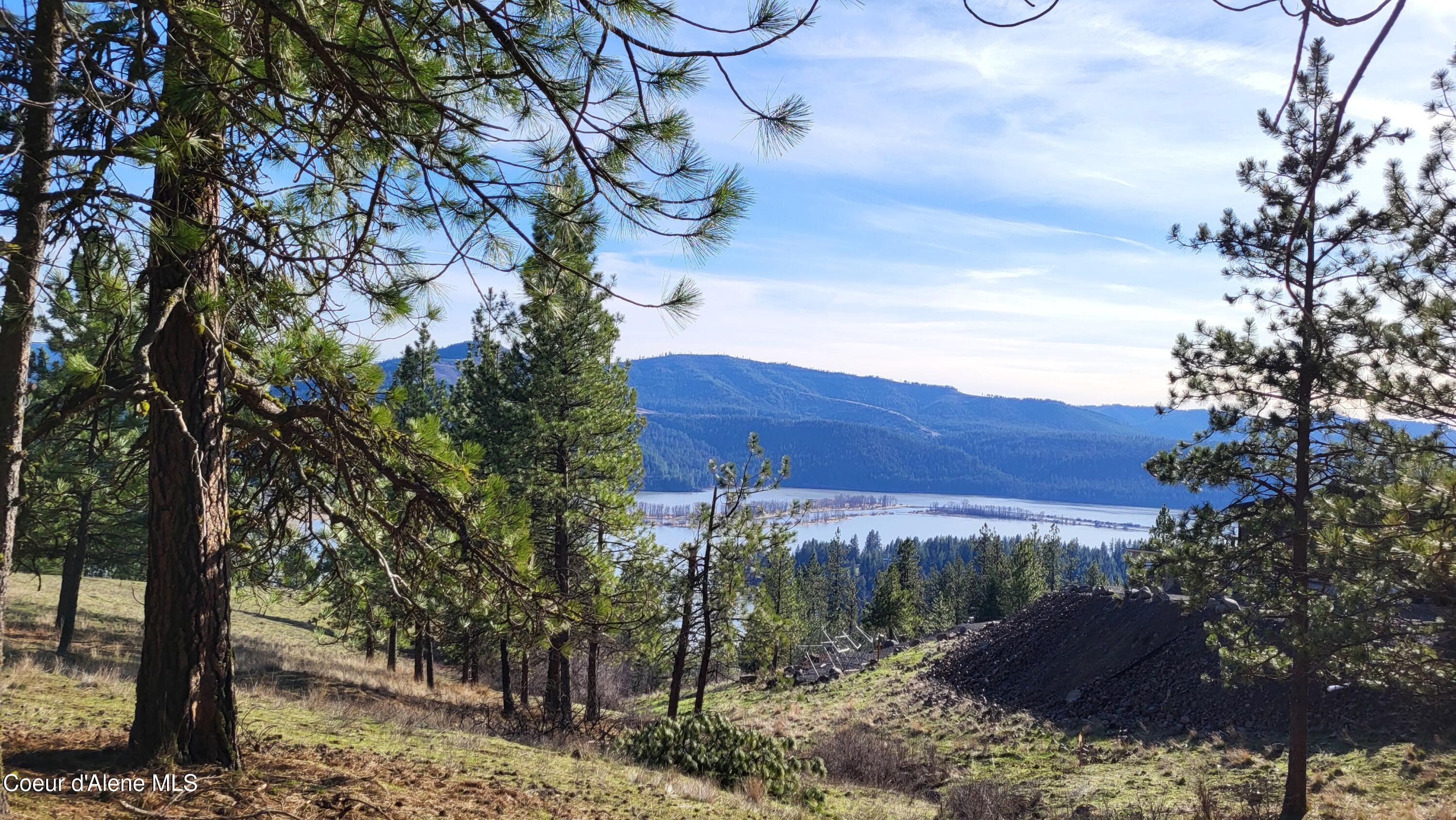 Lot 21 East Holiday Road Harrison, ID 83833 - Photo 4 of 10 20260322_163345