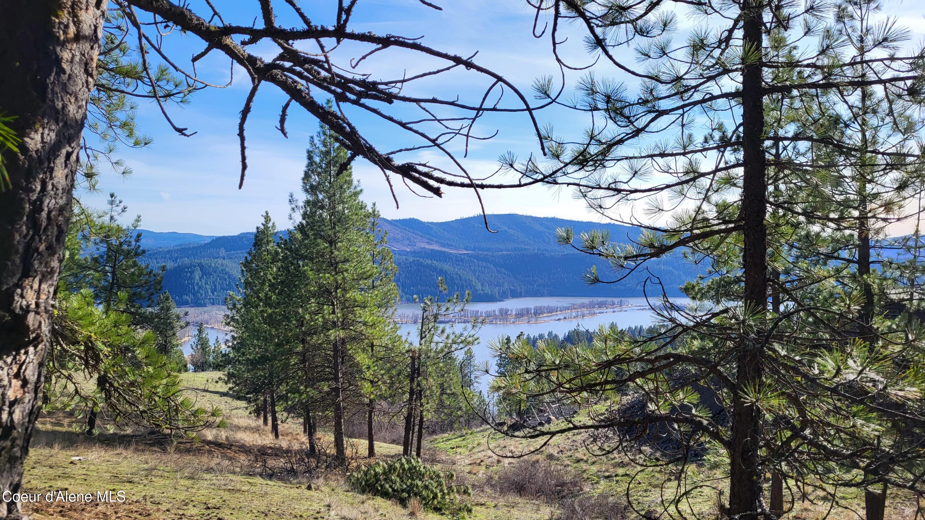 Lot 21 East Holiday Road Harrison, ID 83833 - Photo 10 of 10 20260322_163414
