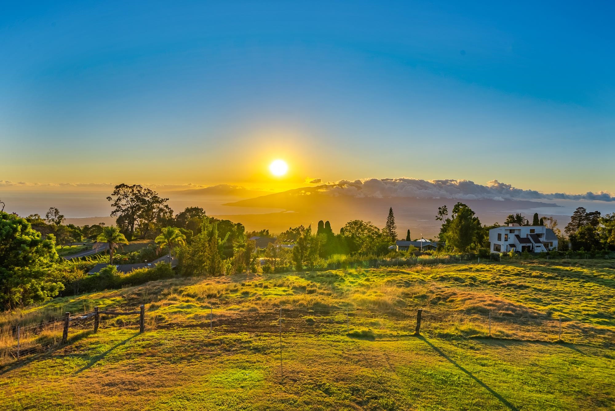 909 Copp Road Kula, HI 96790 - Photo 14 of 48