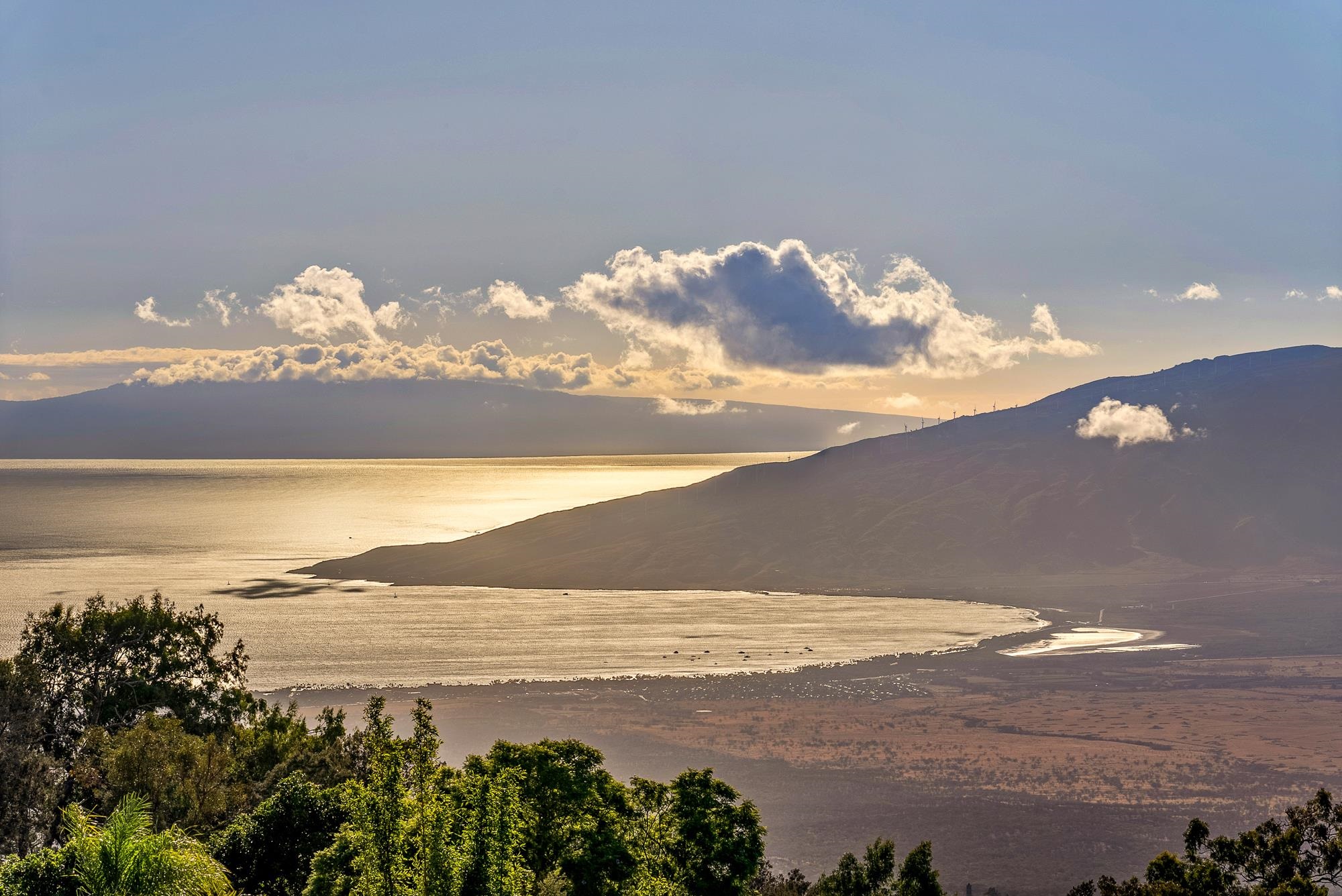 909 Copp Road Kula, HI 96790 - Photo 36 of 48