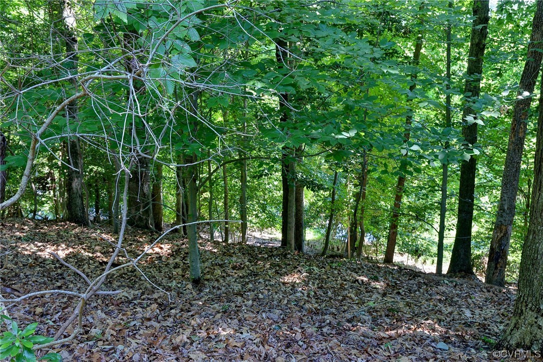 102 Lake Drive Williamsburg, VA 23185 - Photo 23 of 25 a view of outdoor space and trees