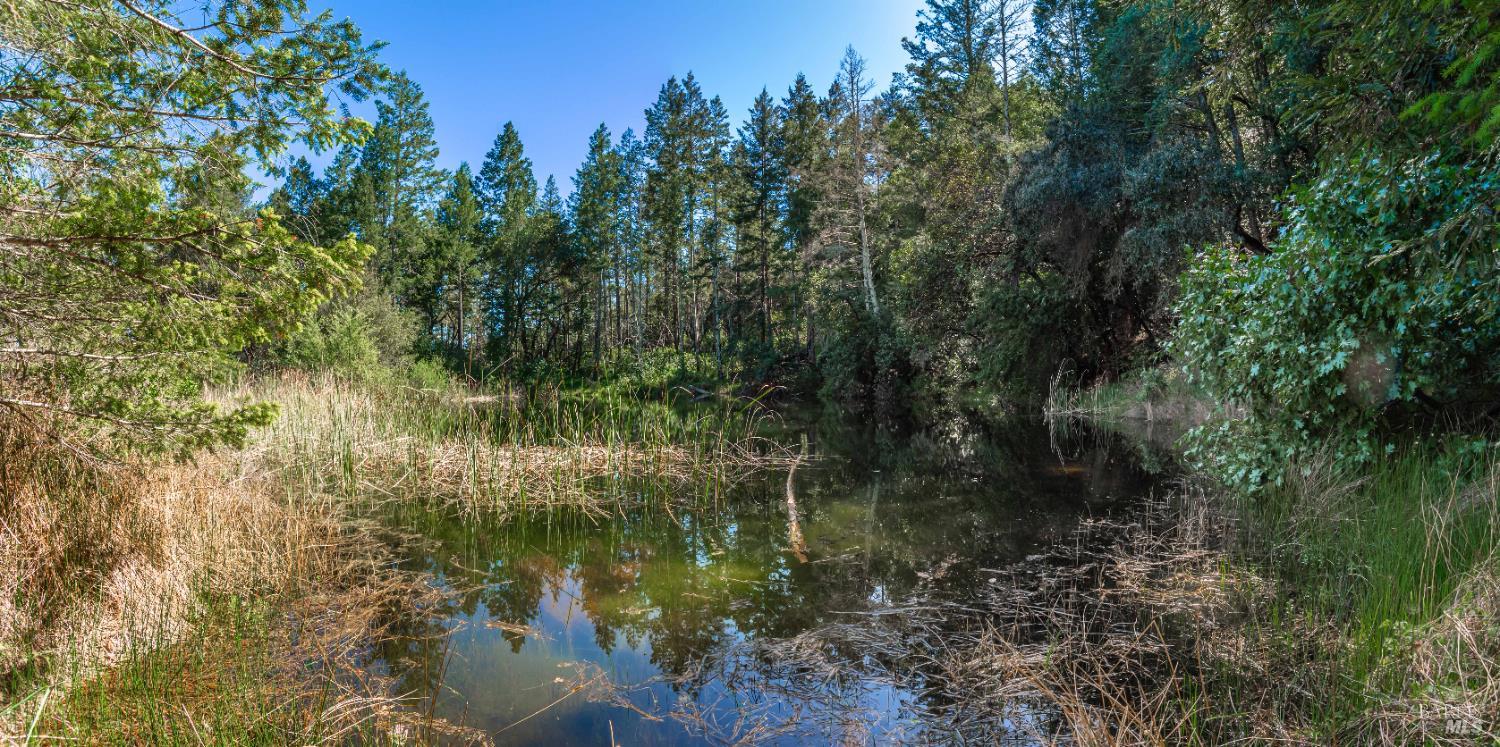 0 Dry Creek Road Napa, CA 94558 - Photo 59 of 98