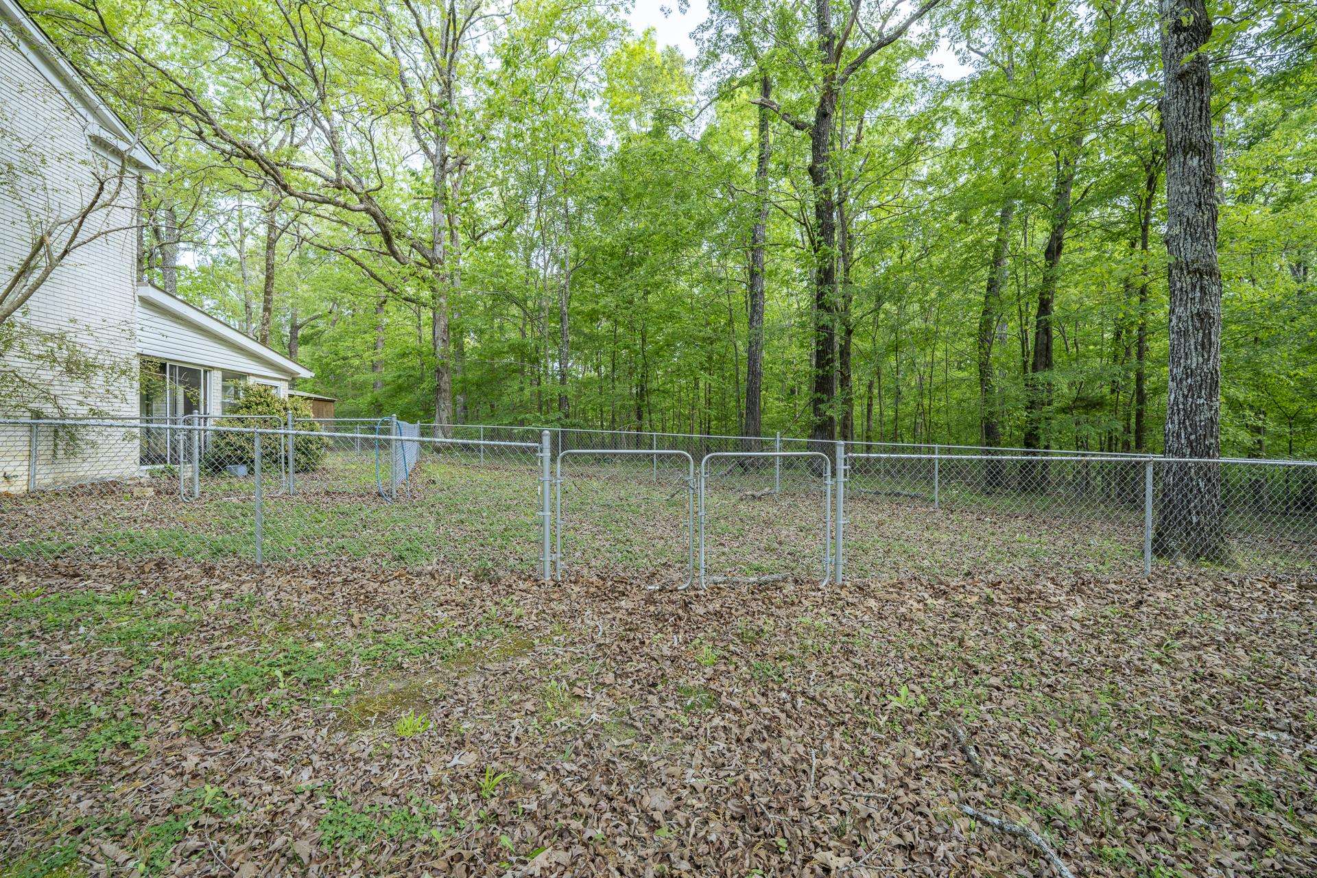 101 Bob Street Selmer, TN 38375 - Photo 34 of 40 a backyard of a house with lots of green space