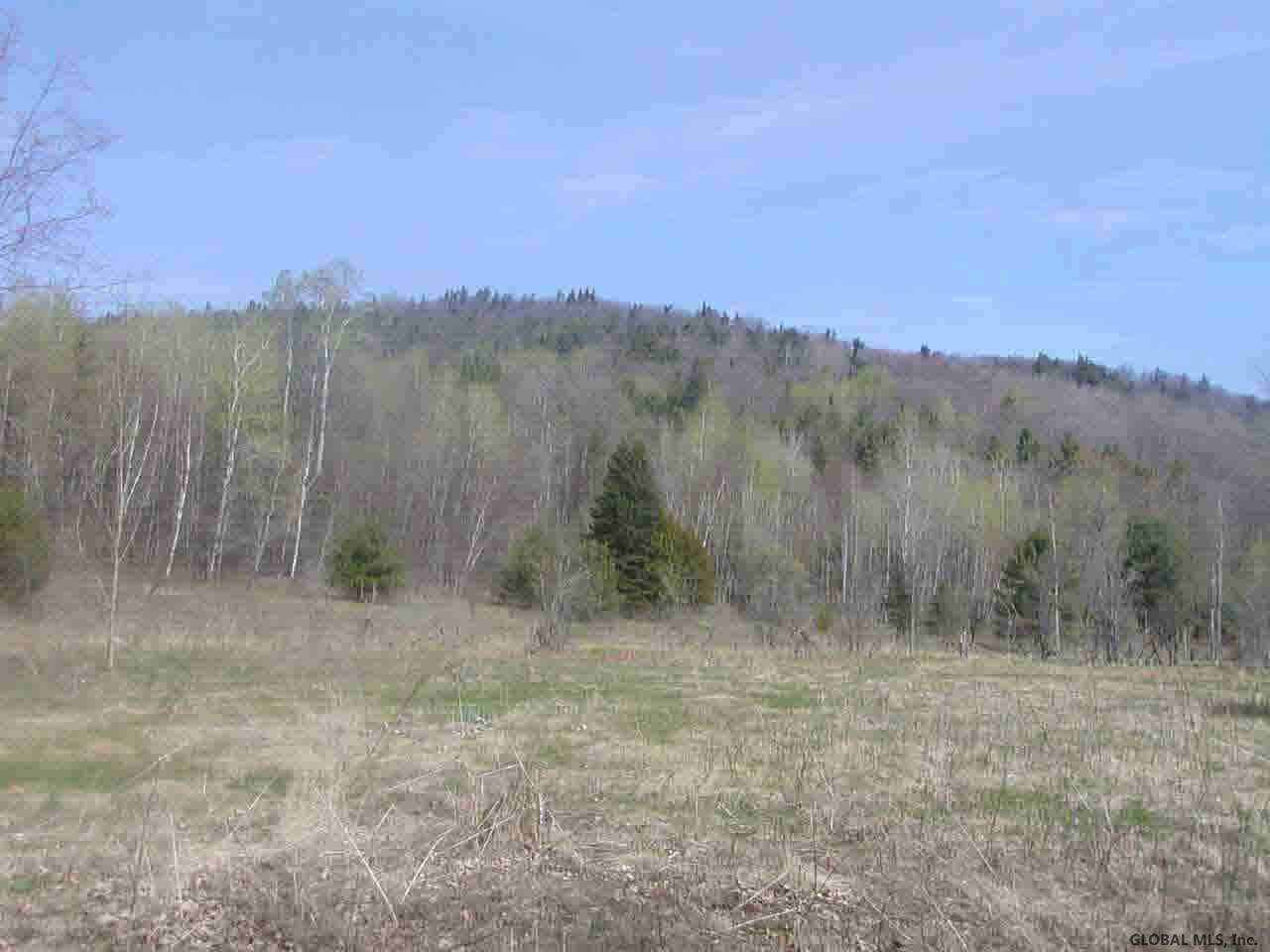 653 Hogback Road Crown Point, NY 12928 - Photo 4 of 7 Photo 4