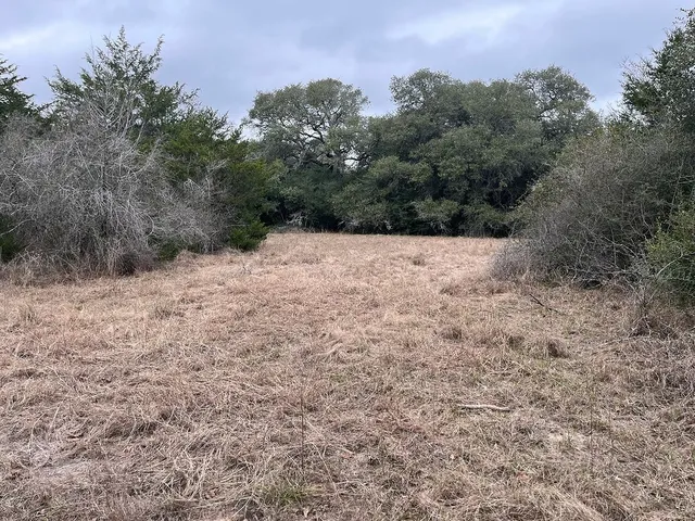 a view of dirt field with trees in background