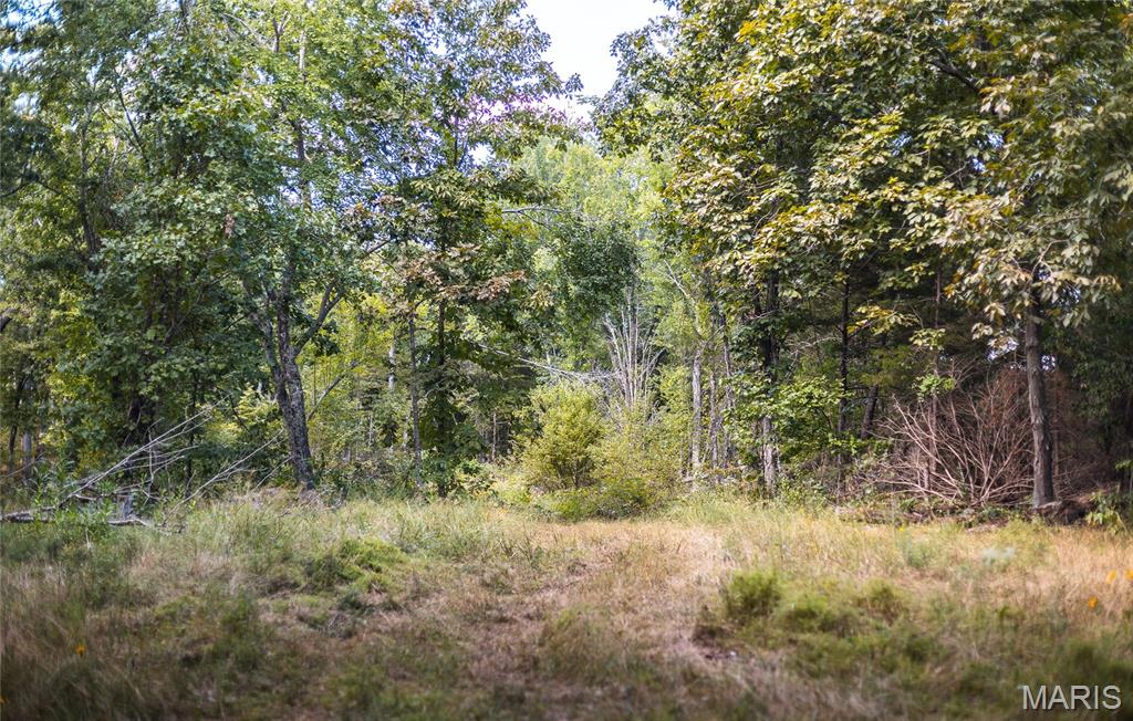 4 Buck Mountain Road Ironton, MO 63650 - Photo 24 of 27