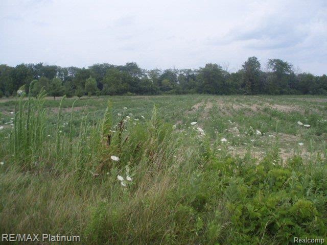 Vl Dixon Road Monroe, MI 48161 - Photo 1 of 13 P7180127