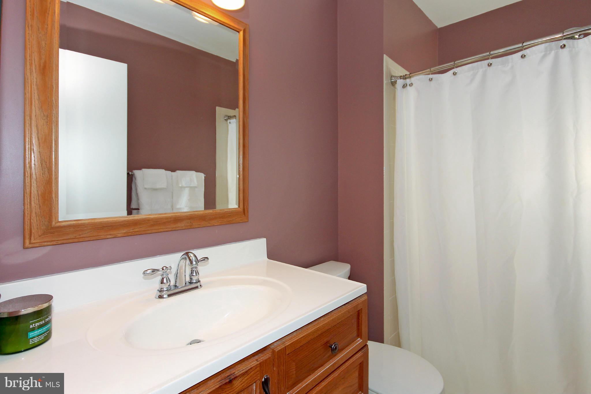 2004 Derby Ridge Lane, Unit 410 Silver Spring, MD 20910 - Photo 14 of 22 Bath (Master)