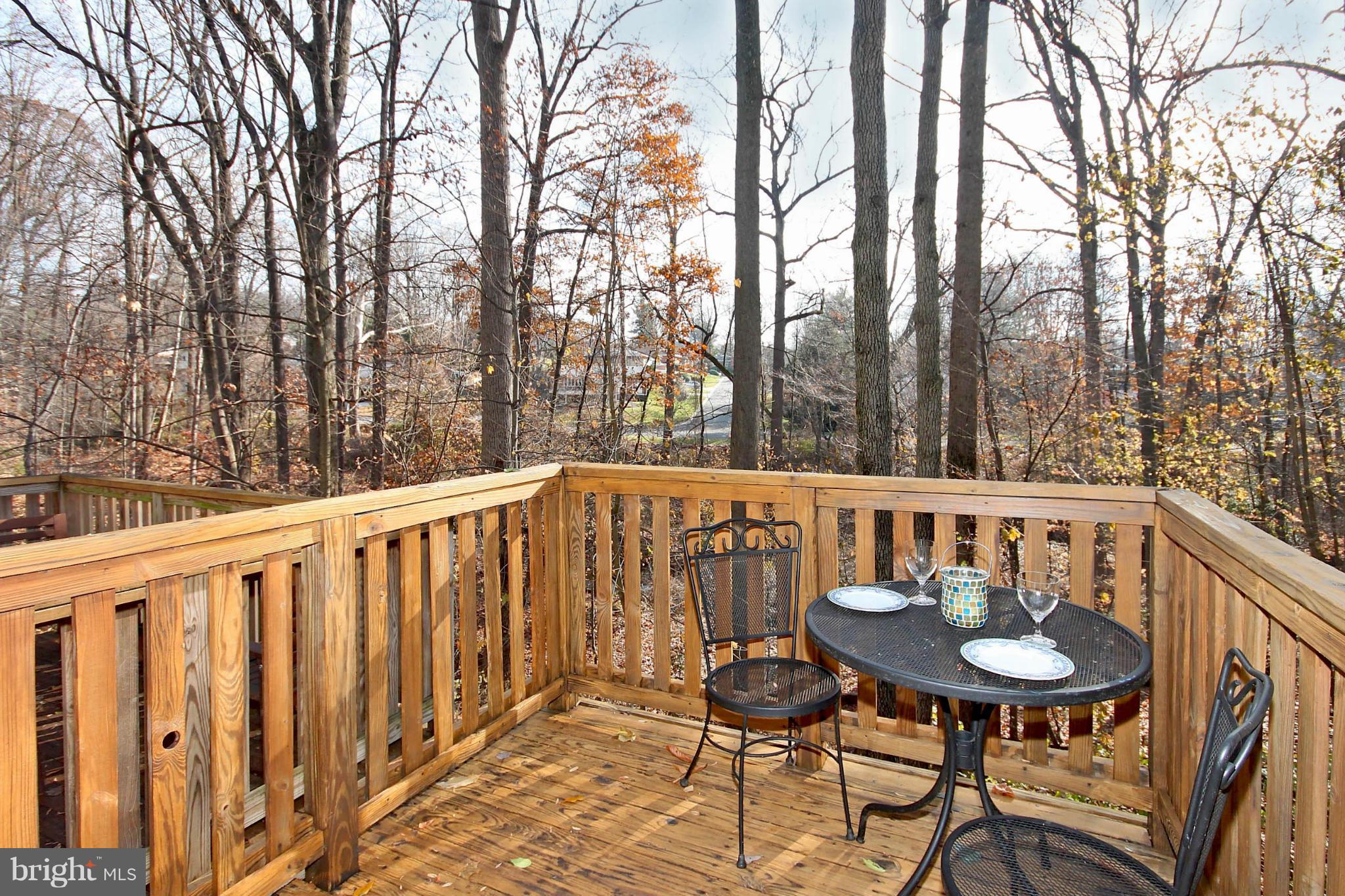 2004 Derby Ridge Lane, Unit 410 Silver Spring, MD 20910 - Photo 4 of 22 Exterior (Rear)