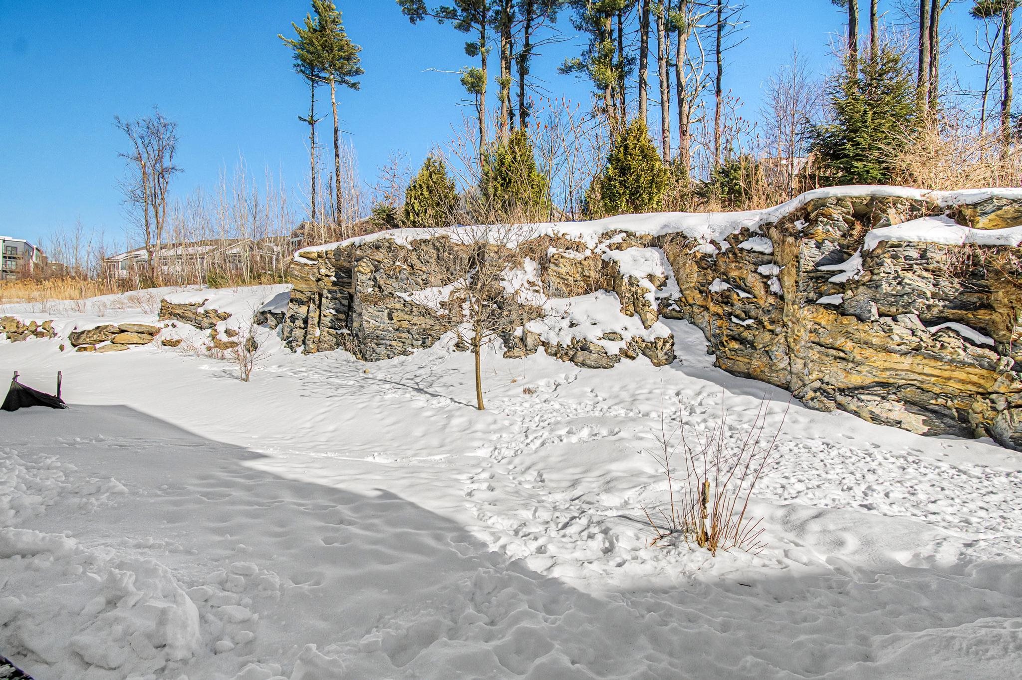 276 Obrien Farm Road South Burlington, VT 05403 - Photo 45 of 46