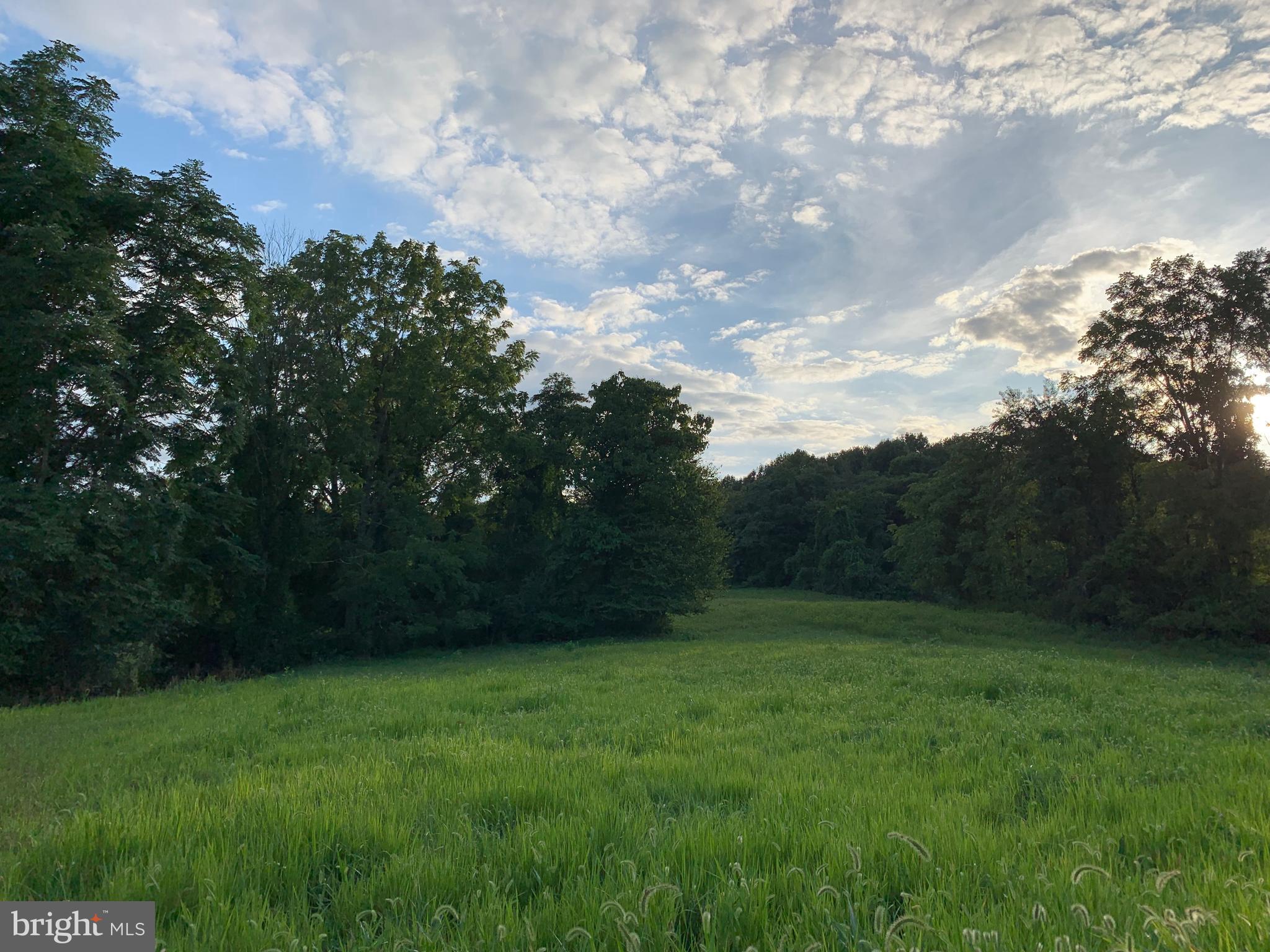 -ft Valley Rd Ft Valley Road Sperryville, VA 22740 - Photo 1 of 14