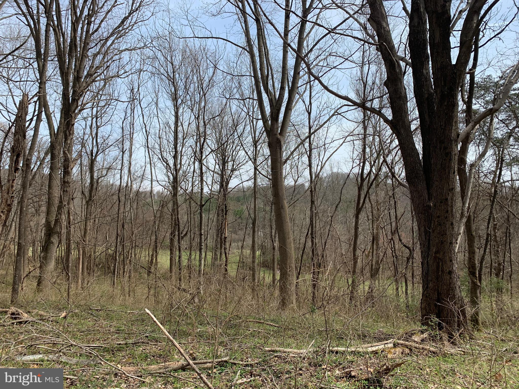 -ft Valley Rd Ft Valley Road Sperryville, VA 22740 - Photo 11 of 14