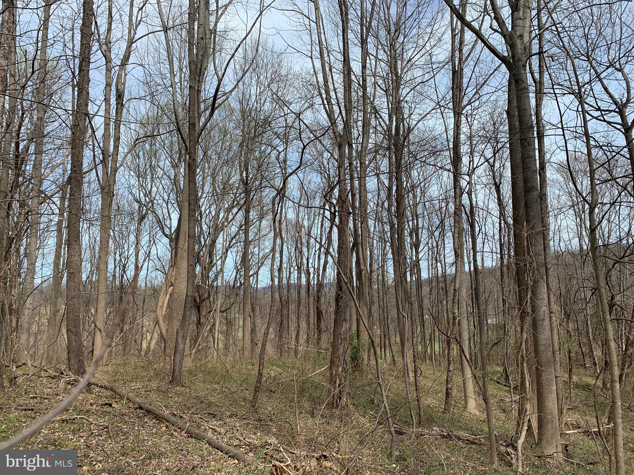 -ft Valley Rd Ft Valley Road Sperryville, VA 22740 - Photo 12 of 14