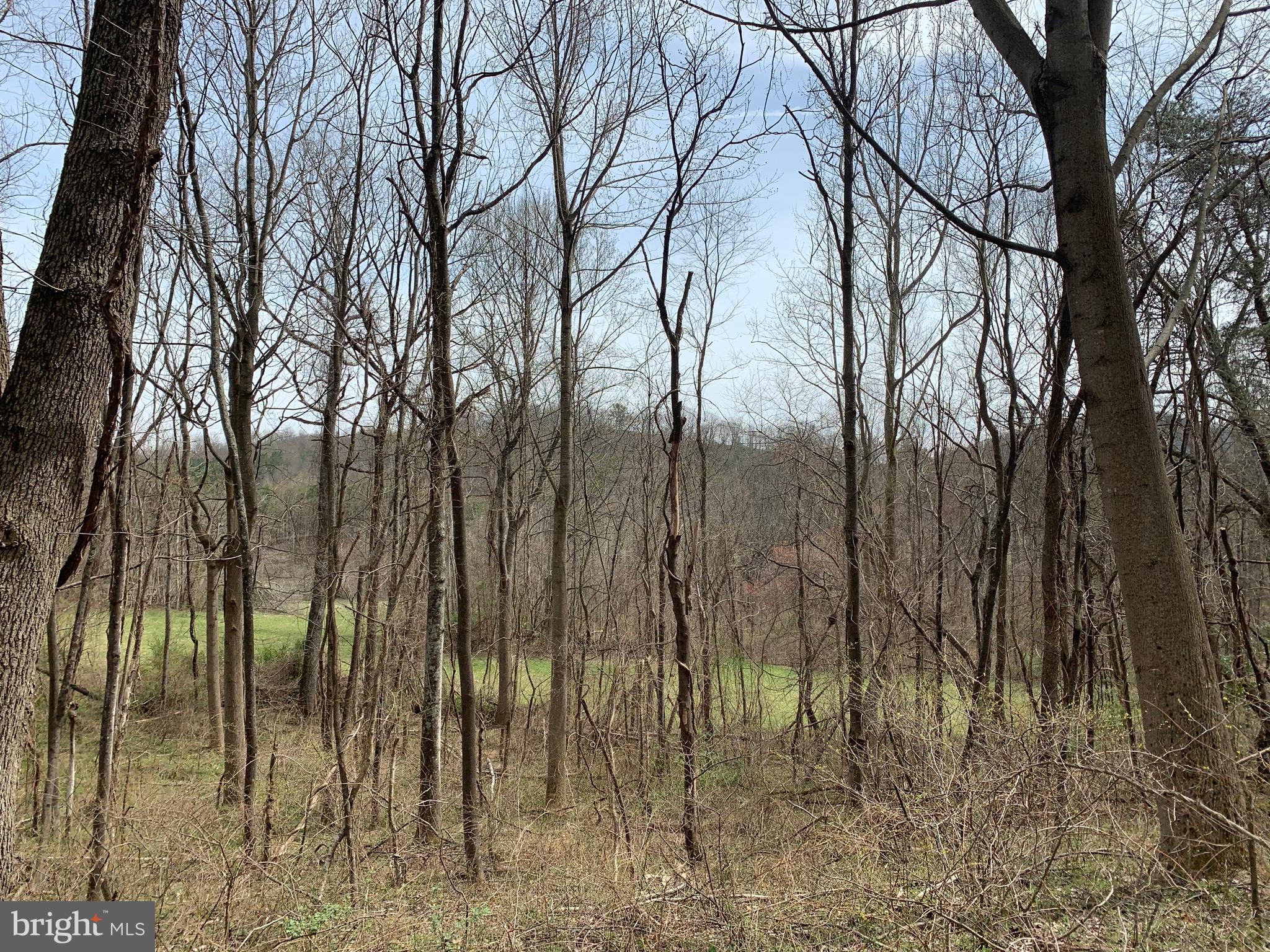 -ft Valley Rd Ft Valley Road Sperryville, VA 22740 - Photo 13 of 14