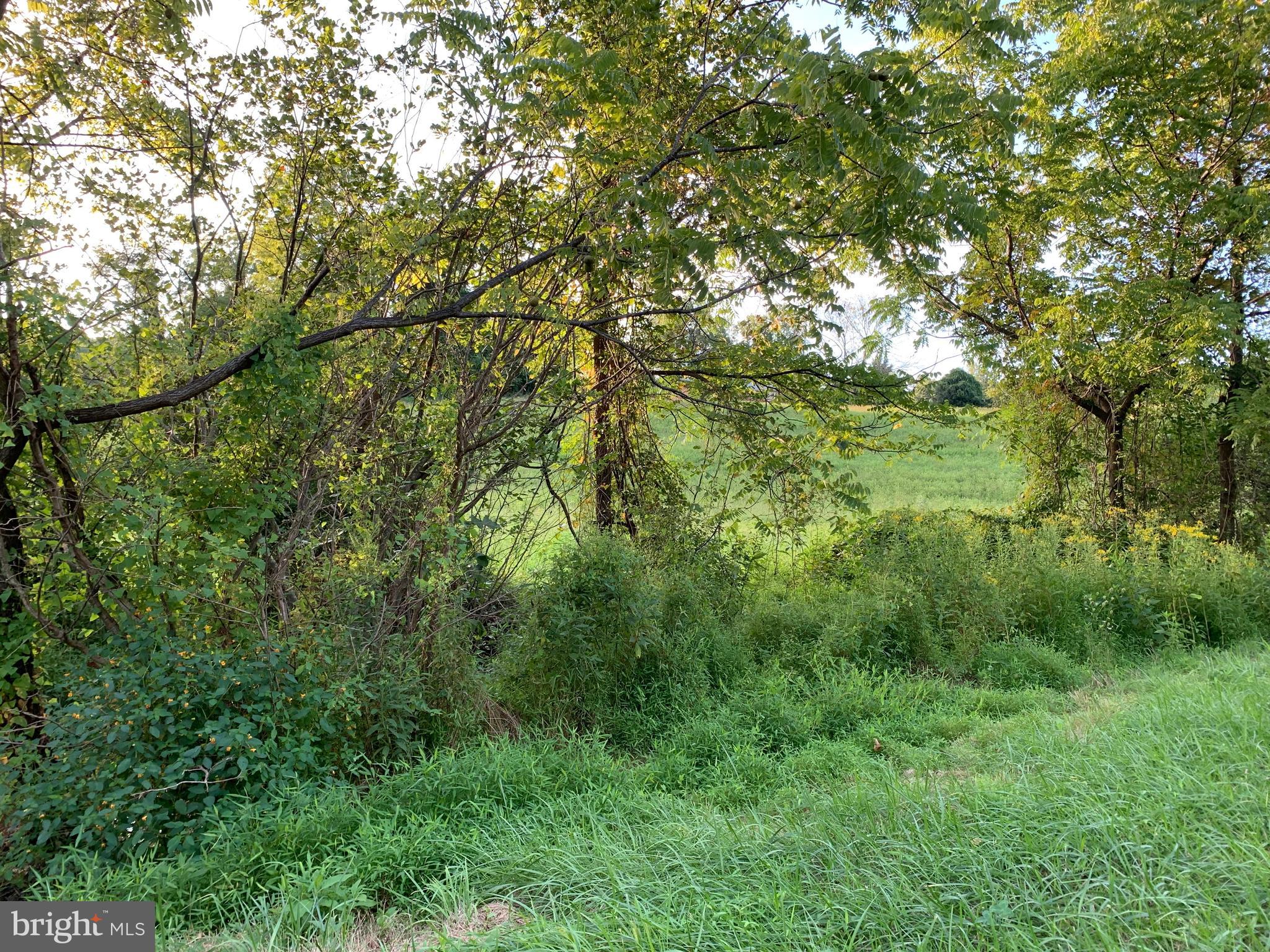 -ft Valley Rd Ft Valley Road Sperryville, VA 22740 - Photo 3 of 14