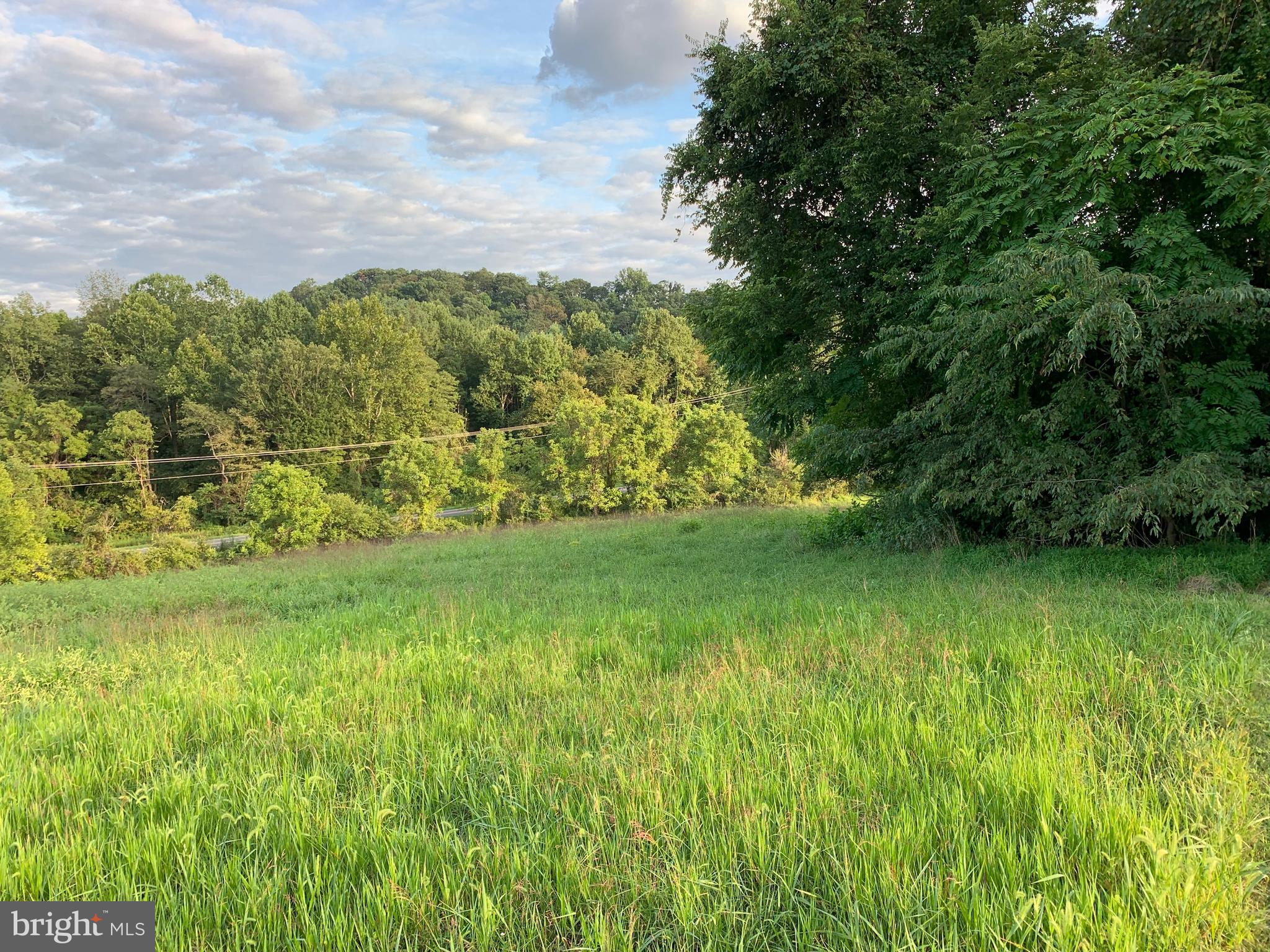 -ft Valley Rd Ft Valley Road Sperryville, VA 22740 - Photo 4 of 14