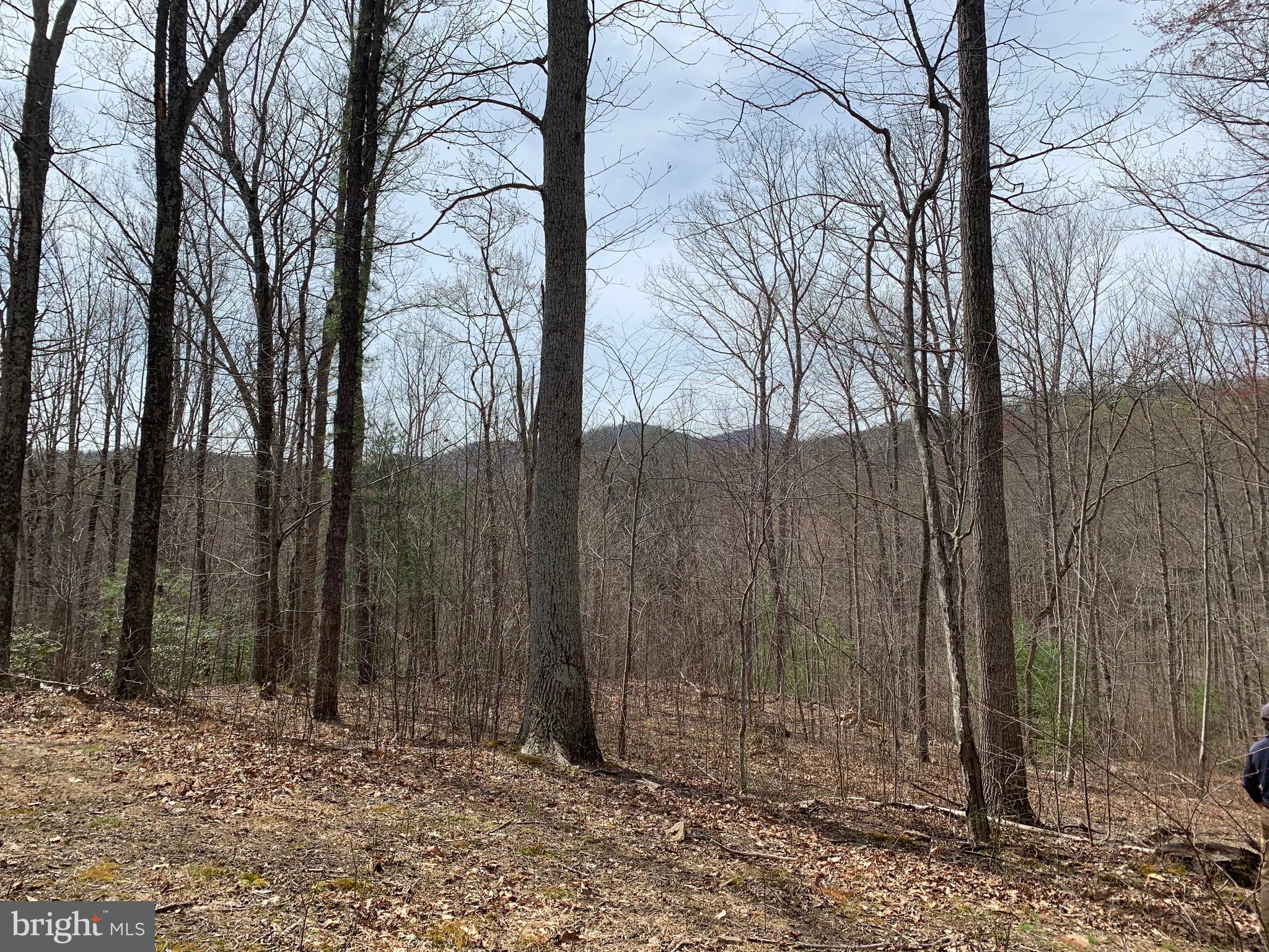 -ft Valley Rd Ft Valley Road Sperryville, VA 22740 - Photo 6 of 14