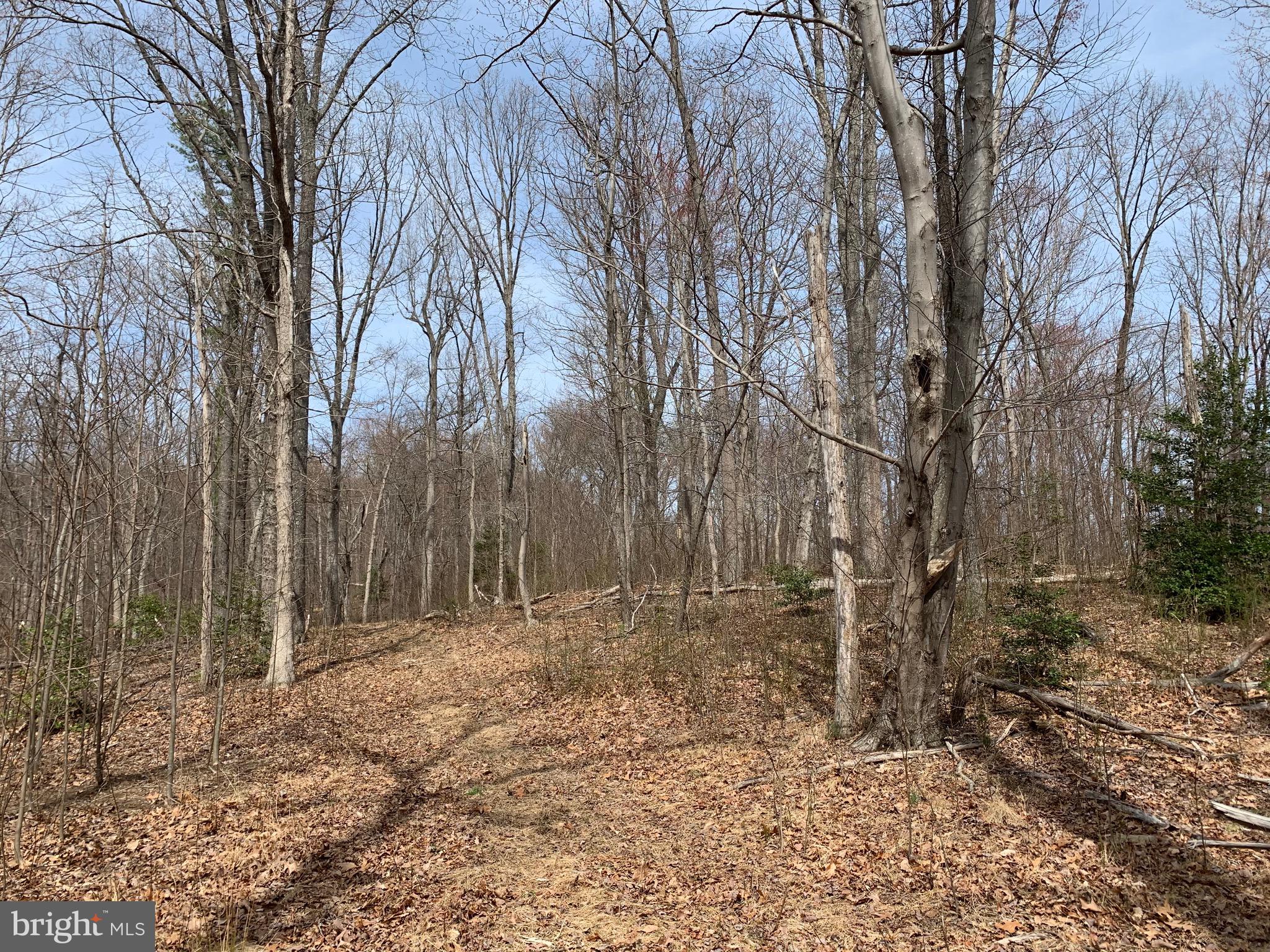 -ft Valley Rd Ft Valley Road Sperryville, VA 22740 - Photo 7 of 14