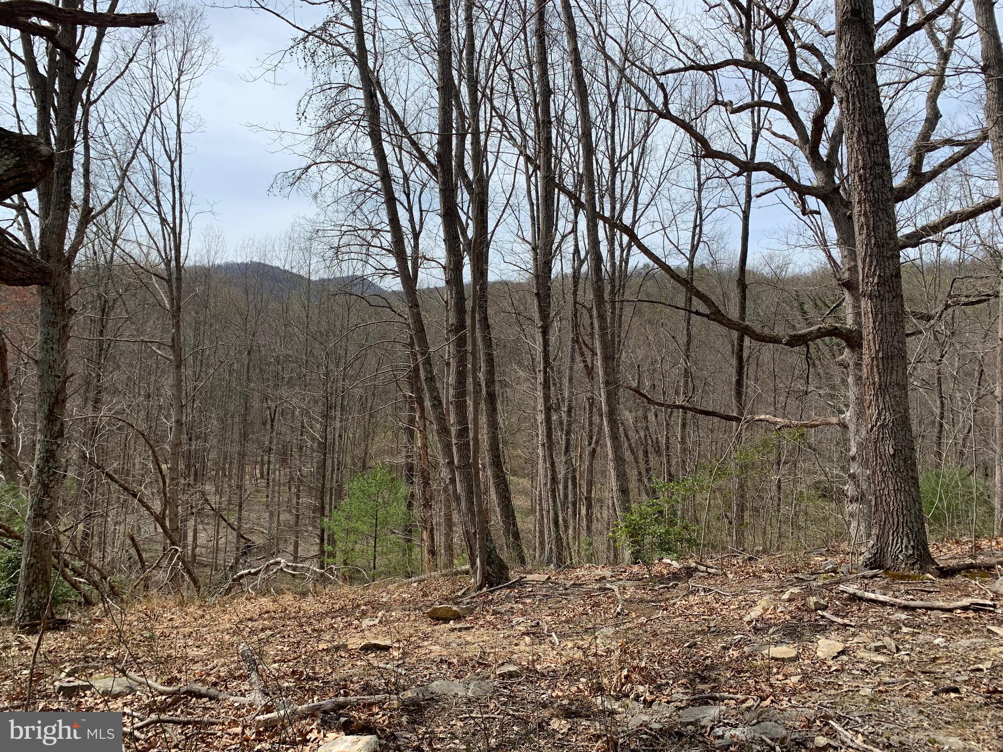 -ft Valley Rd Ft Valley Road Sperryville, VA 22740 - Photo 9 of 14