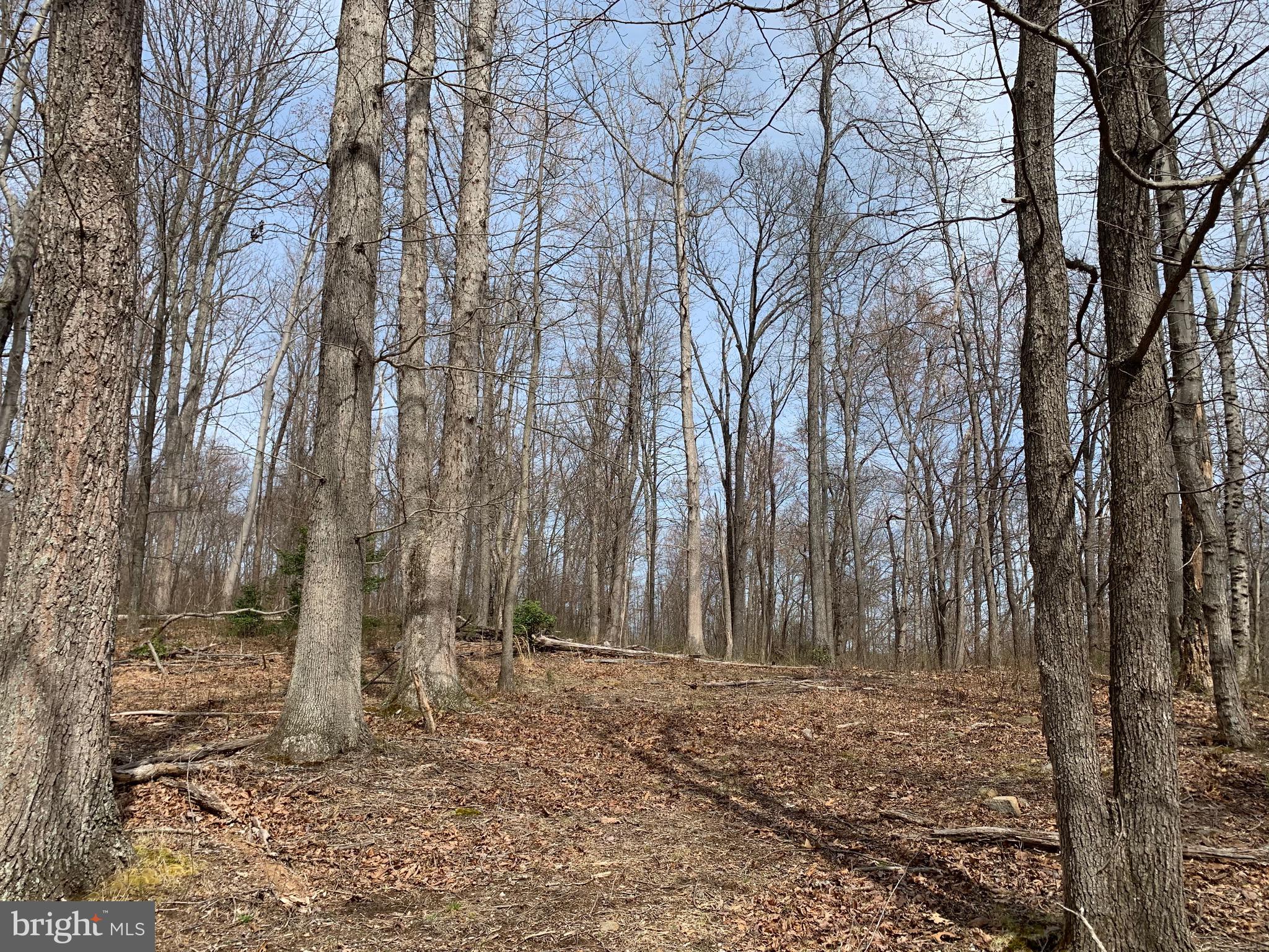 -ft Valley Rd Ft Valley Road Sperryville, VA 22740 - Photo 10 of 14