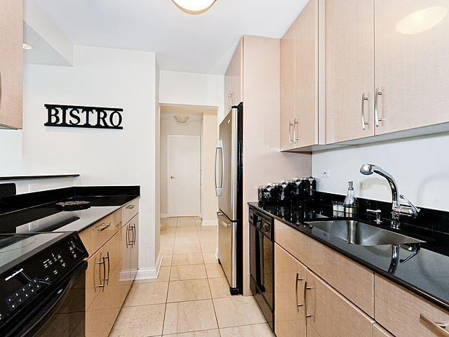 111 East Chestnut Street, Unit 16F Chicago, IL 60611 - Photo 11 of 20 a kitchen with granite countertop a sink and cabinets