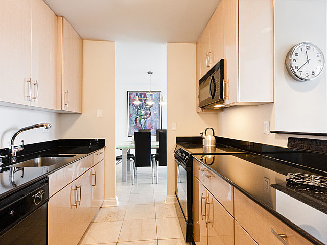 111 East Chestnut Street, Unit 16F Chicago, IL 60611 - Photo 10 of 20 a kitchen with stainless steel appliances granite countertop a stove a sink and a microwave