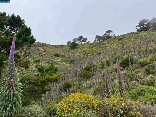 $1,680,000 | 290 Olympian Way, Pacifica, CA 94044