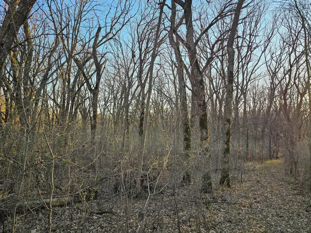 $99,900 | 30 D Pelican Rapids, Pelican Rapids, MN 56572