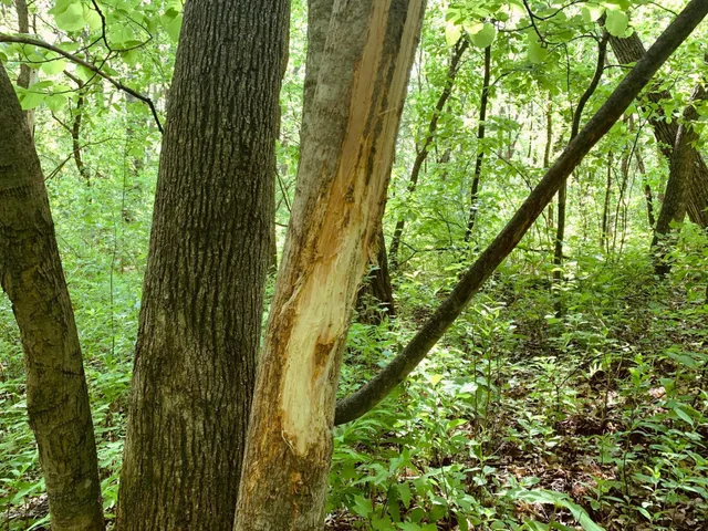 $99,900 | 30 D Pelican Rapids, Pelican Rapids, MN 56572