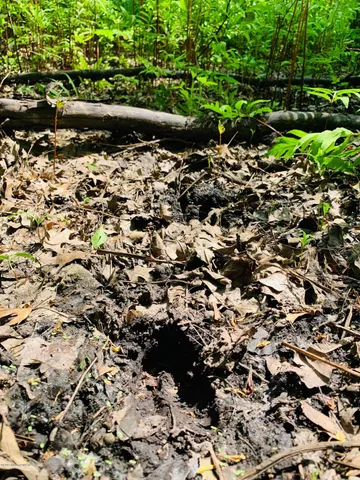 $99,900 | 30 D Pelican Rapids, Pelican Rapids, MN 56572