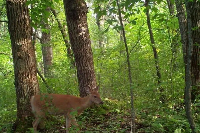 $99,900 | 30 D Pelican Rapids, Pelican Rapids, MN 56572