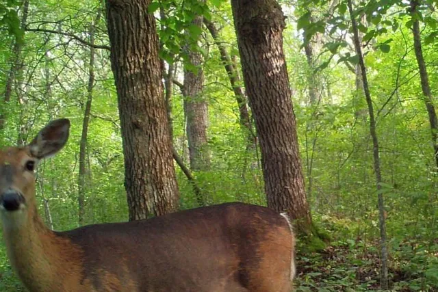 $99,900 | 30 D Pelican Rapids, Pelican Rapids, MN 56572