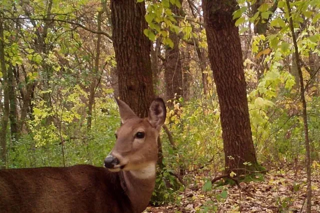 $99,900 | 30 D Pelican Rapids, Pelican Rapids, MN 56572