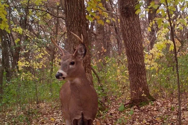 $99,900 | 30 D Pelican Rapids, Pelican Rapids, MN 56572