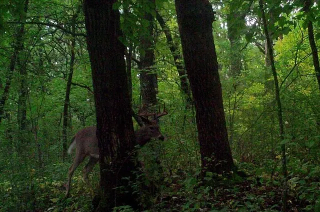 $99,900 | 30 D Pelican Rapids, Pelican Rapids, MN 56572