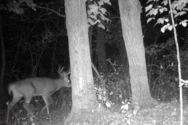 $99,900 | 30 D Pelican Rapids, Pelican Rapids, MN 56572