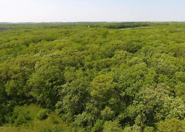 $99,900 | 30 D Pelican Rapids, Pelican Rapids, MN 56572