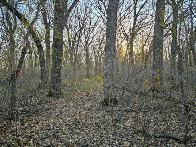 $99,900 | 30 D Pelican Rapids, Pelican Rapids, MN 56572