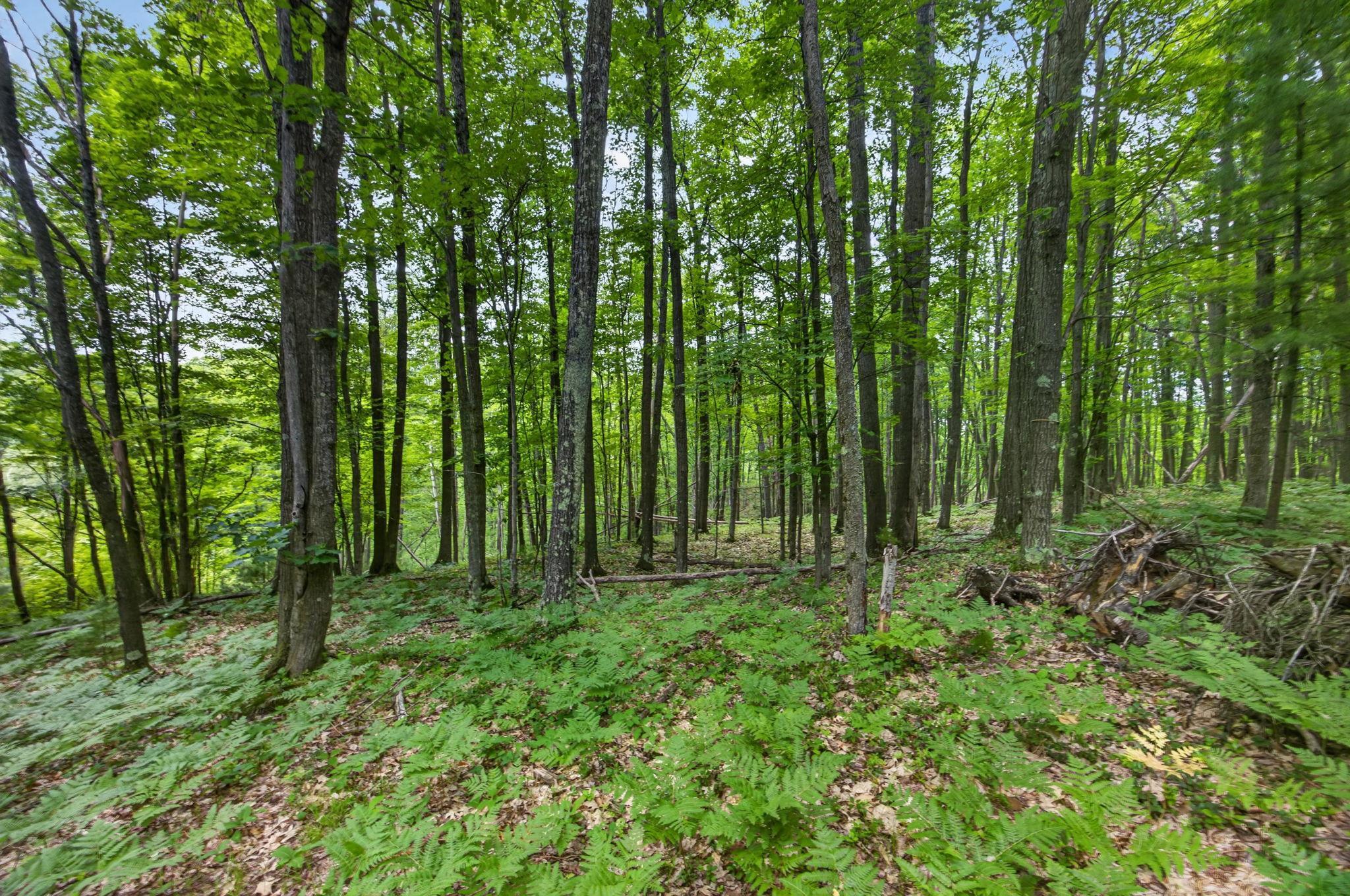 47 South 3/4 Road, Unit LOT: 11 Cadillac, MI 49601 - Photo 25 of 30