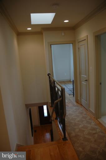 Interior (General)