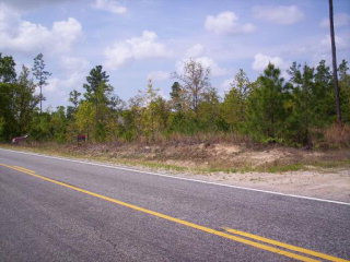 6 State Park Road Windsor, SC 29856 - Photo 1 of 1