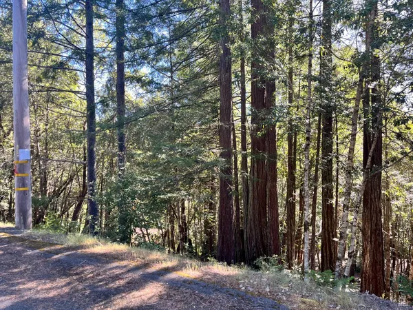 a view of outdoor space and yard