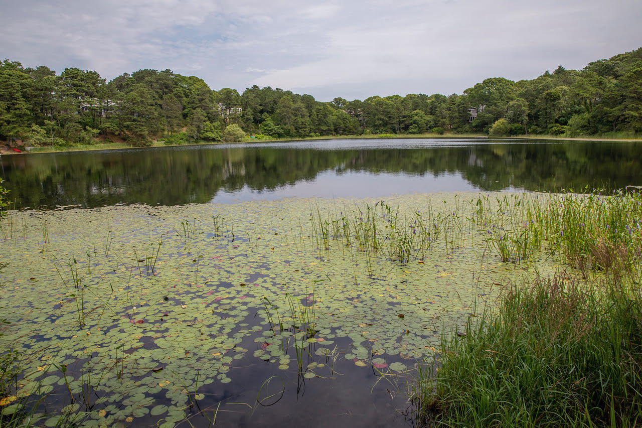68 Riverview Drive Chatham, MA 02633 - Photo 10 of 27 Pond in riverbay