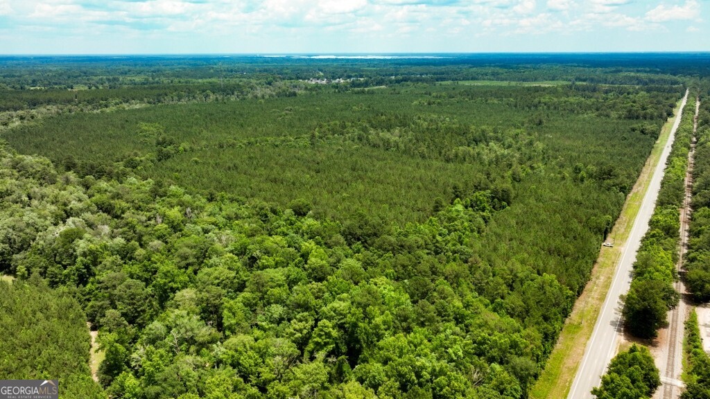 0 Highway 204 & Carlos Cowart Road Pembroke, GA 31321 - Photo 13 of 47