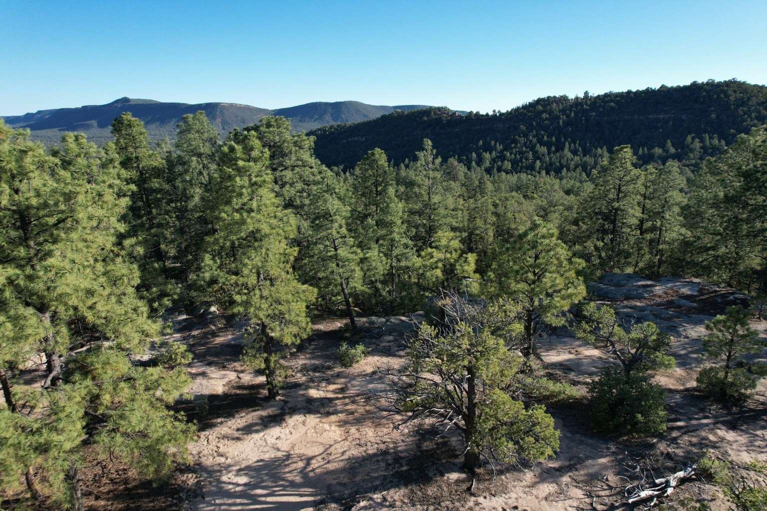 0 Pinon Ridge Road Pecos, NM 87552 - Photo 39 of 39