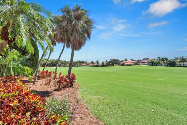 a backyard of a house with potted plants and palm trees