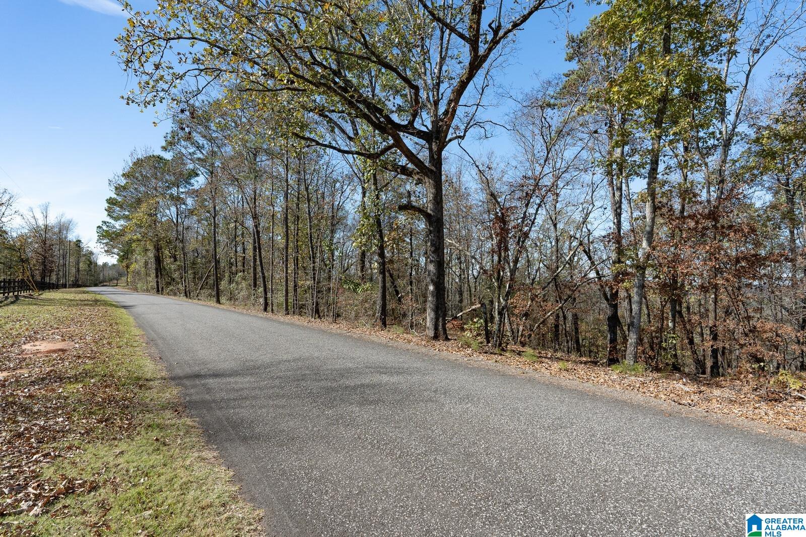 5830-2 South Shades Crest Road, Unit 2 Helena, AL 35022 - Photo 15 of 16