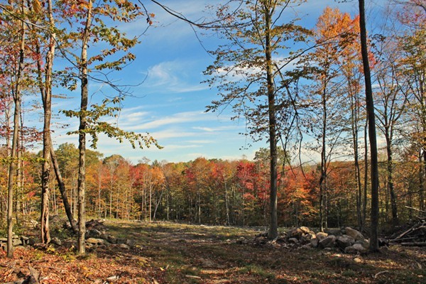Lot 3 Locke Hill Road Wendell, MA 01379 - Photo 1 of 20 Gallery Image 1